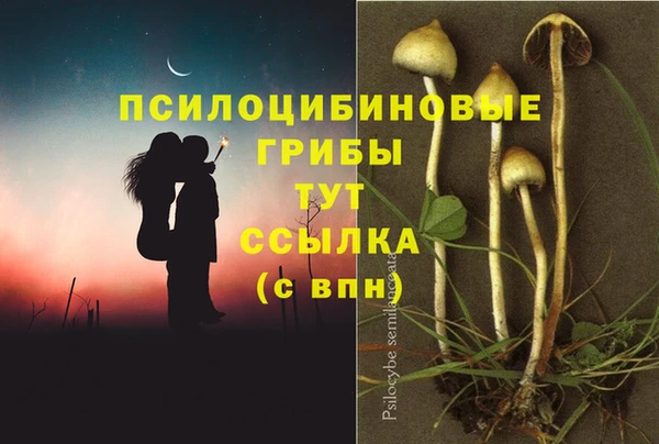 ALPHA PVP Верхнеуральск