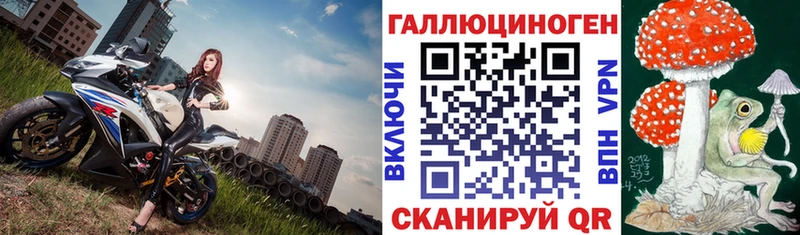 Купить где  Котлас  Галлюциногенные грибы мицелий 